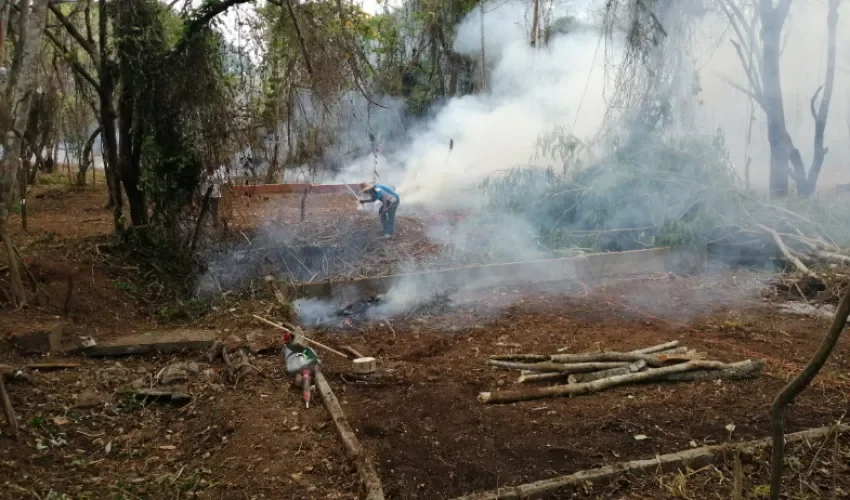 Gobierno refuerza lucha contra incendios forestales en temporada seca