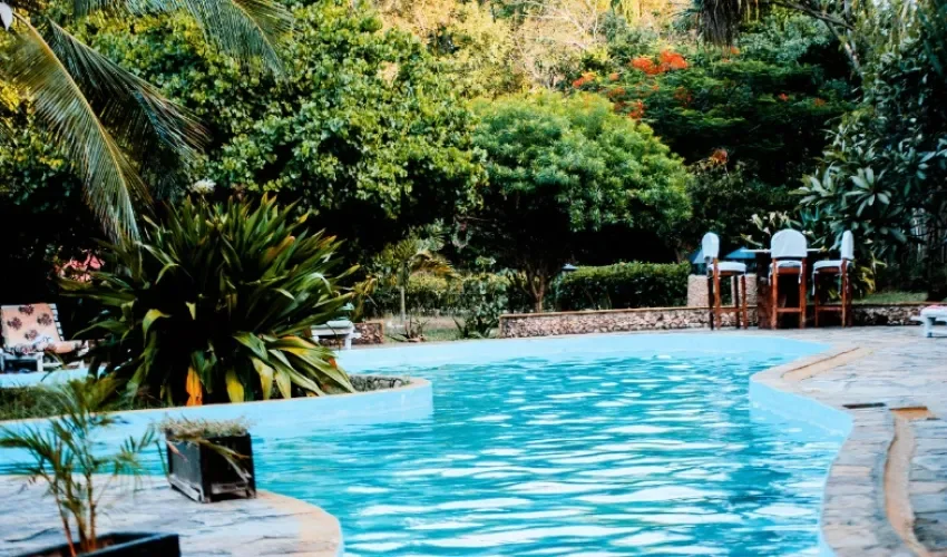  Foto: Mwabonje Ringa/Pexels