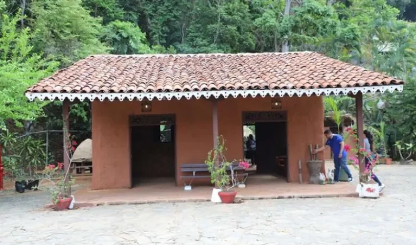 Foto: Alcaldía de Panamá. 