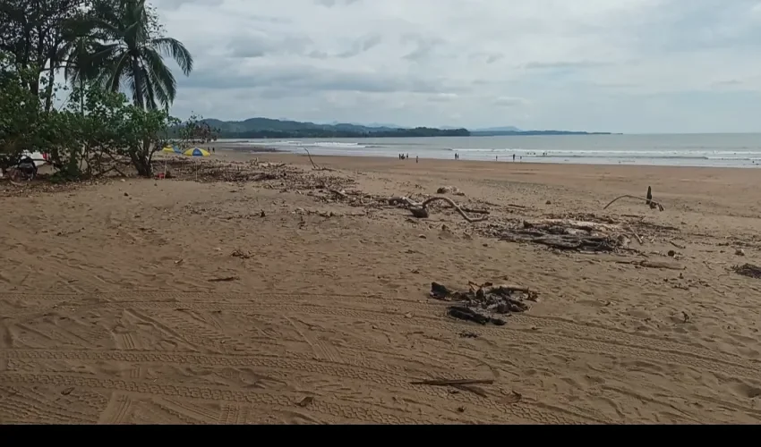 Foto: Melquiades Vásquez. 