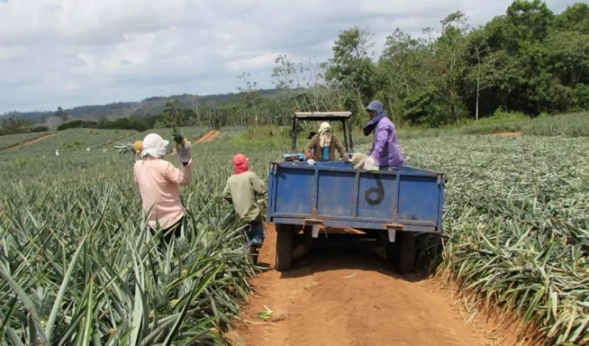 Foto: Eric Montenegro. 