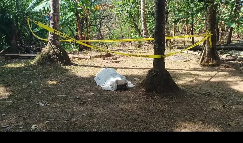 Foto: Melquiades Vásquez. 