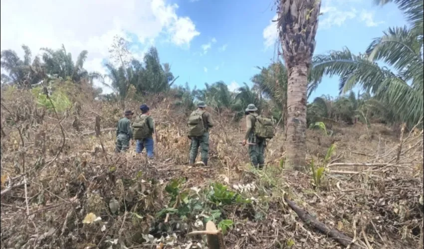 Foto:  Diómedes Sánchez. 
