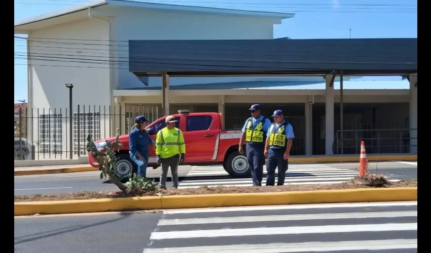 Foto: Thays Domínguez. 