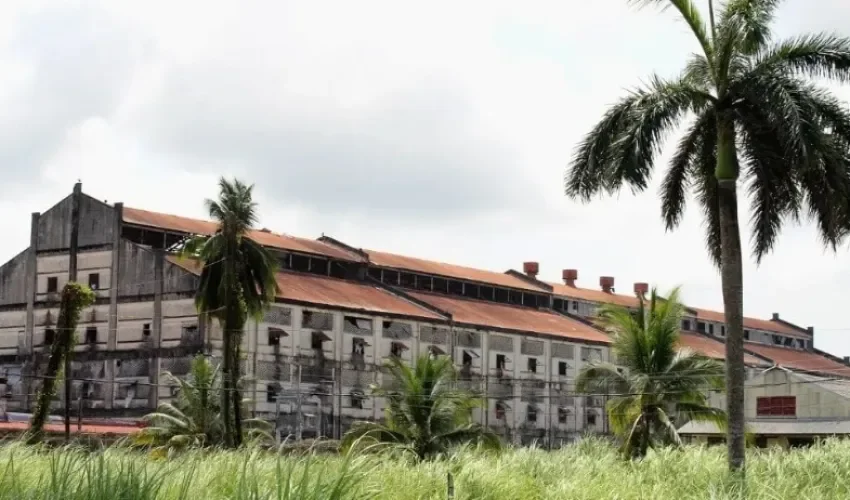 Foto: Diómedes Sánchez. 