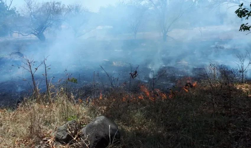 Foto: Bomberos de Los Santos.