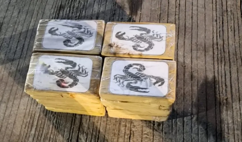 Foto: Diómedes Sánchez.