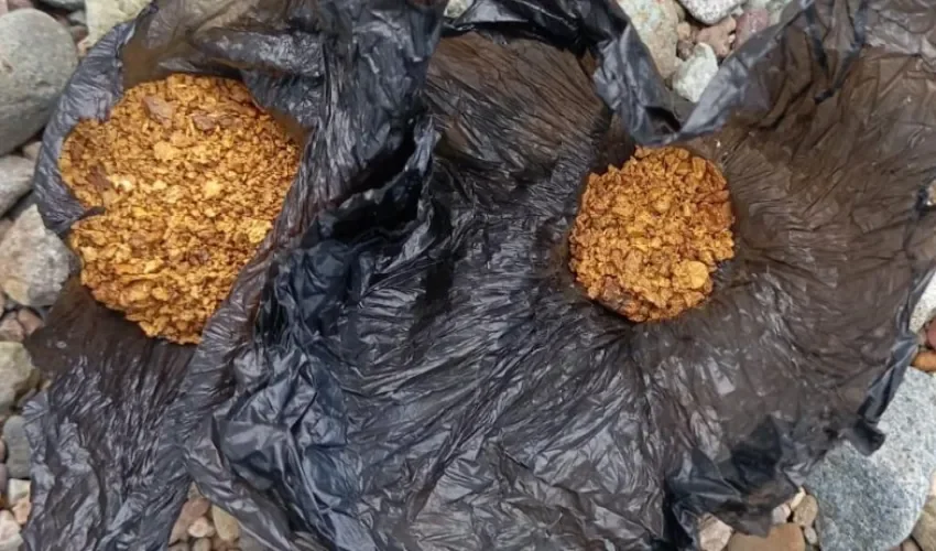 Foto: Diómedes Sánchez. 