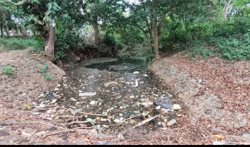 Foto: Eric Montenegro. 