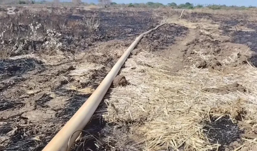 Foto: Eric Montenegro. 