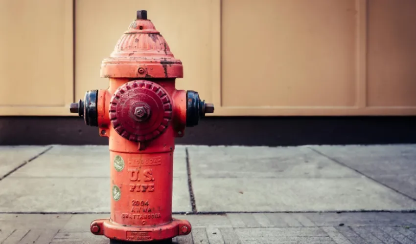Foto: Brett Sayles/Pexels