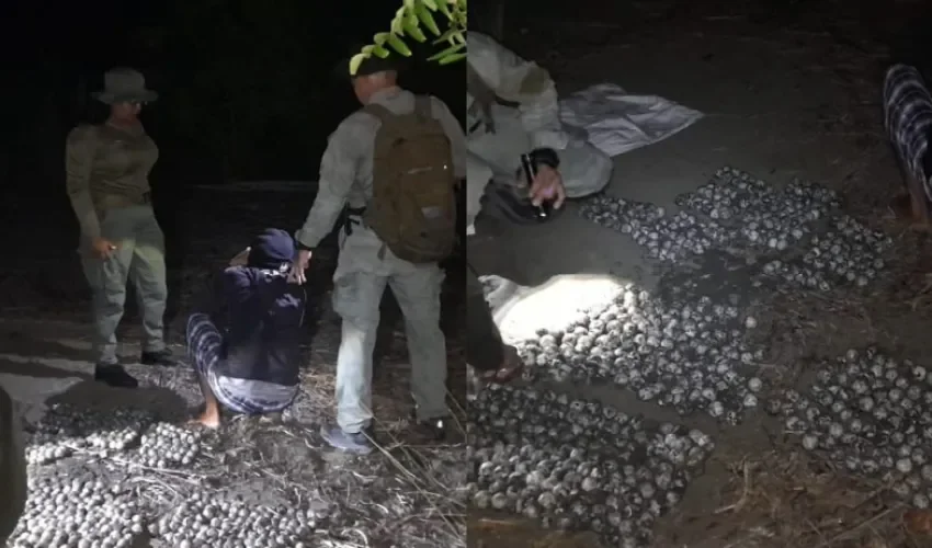 Fotos: Policía Nacional. 