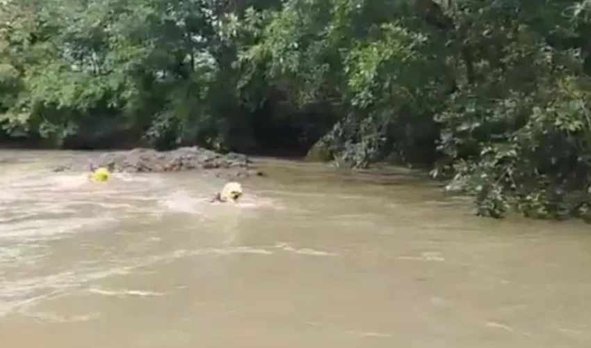 Foto captura de video. 