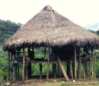 Casas de tambo: las viviendas ancestrales que han cambiado su estilo tradicional 