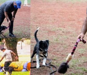 Adiestrando perros por más de 20 años 