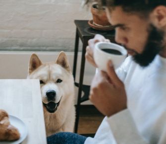 Pet friendly, la cultura que levanta pasiones por falta de regulación 