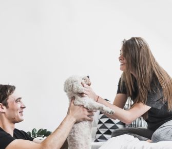 ¿Cómo se trata la custodia de mascotas en Panamá?  