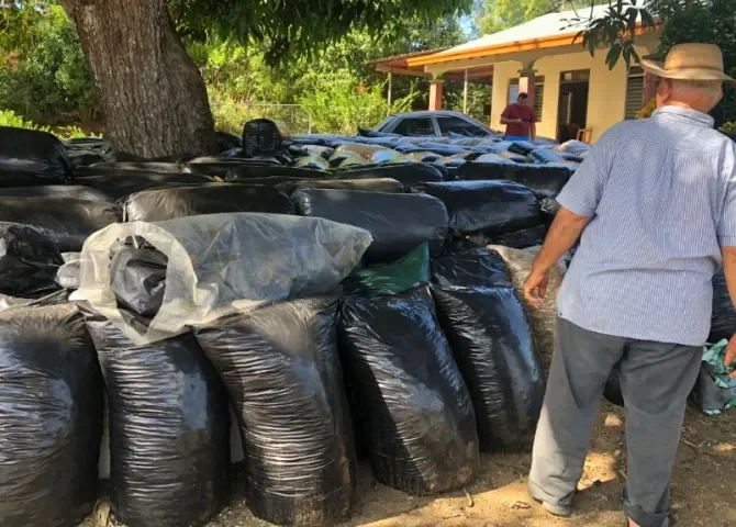   Falta de lluvias amenaza la producción agropecuaria en Azuero   