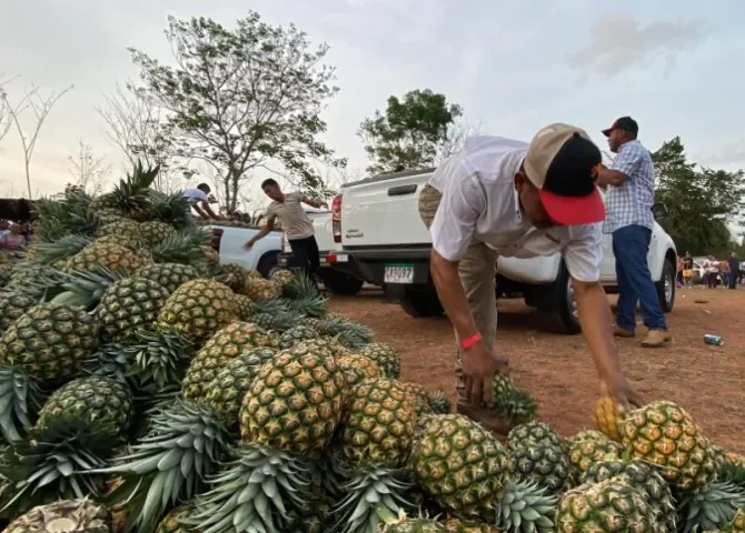   Reportan el aumento de exportaciones de rubros desde Panamá Oeste  