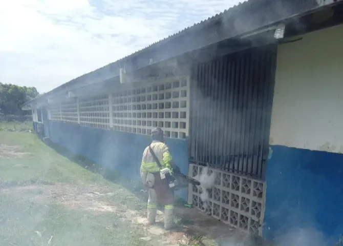  ¡Atentos! Panamá registra 3,852 casos de dengue en lo que va del año 