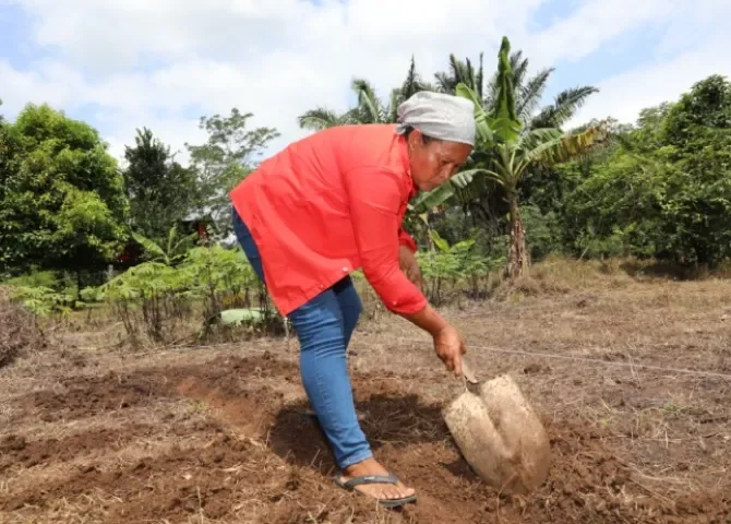   Aida Rodríguez Reyes  cultiva mucho más que alimentos: siembra un futuro sostenible  