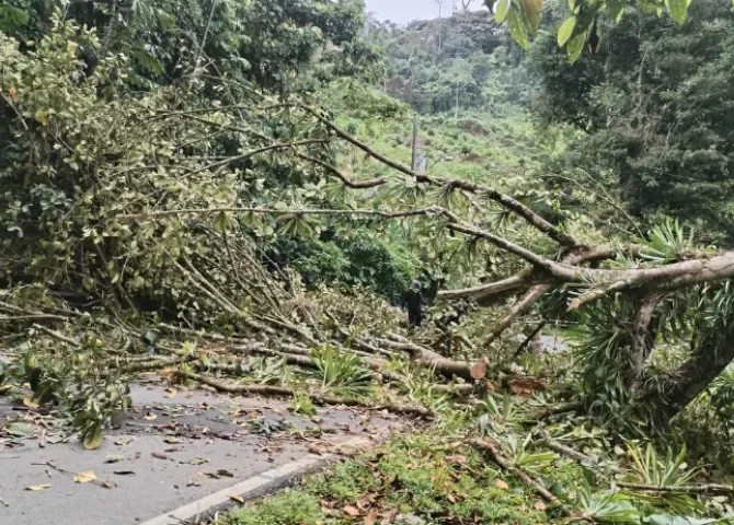 Foto: Ministerio de Seguridad.  