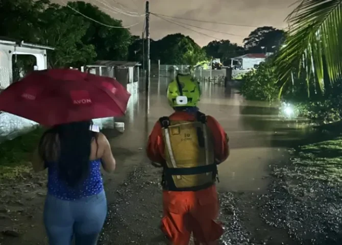  Foto: Sinaproc.  