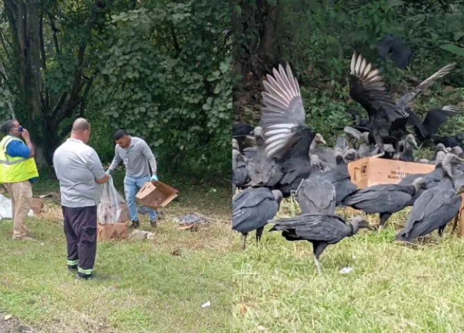  Basura y animales muertos vuelven a activar alertas cerca del Aeropuerto Internacional de Tocumen 
