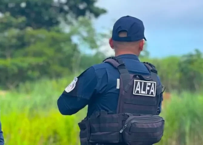  Unidad de la Policía Nacional es sorprendida transportando droga en vehículo con doble fondo 