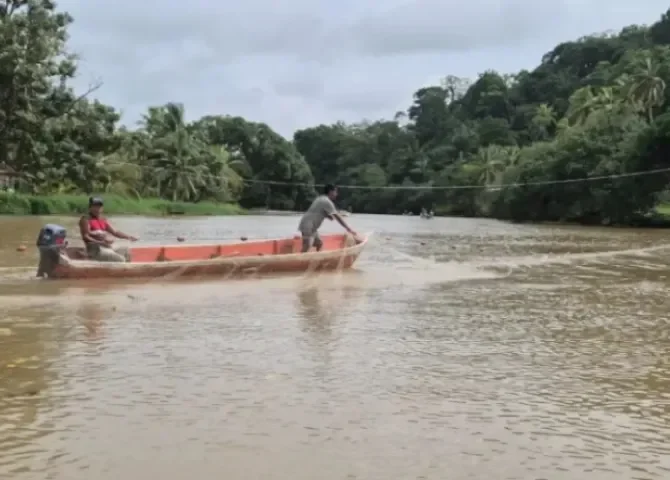  Foto: Diomedes Sánchez.  