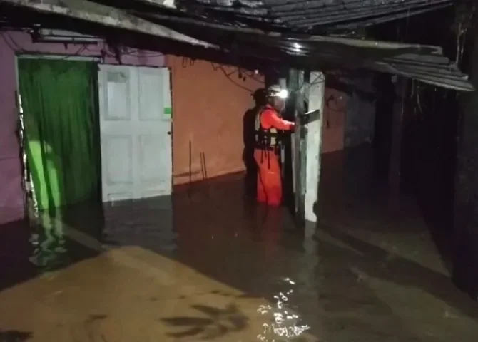  Foto: Thays Domínguez.  