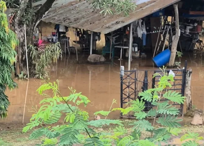  Foto: Thays Domínguez. 