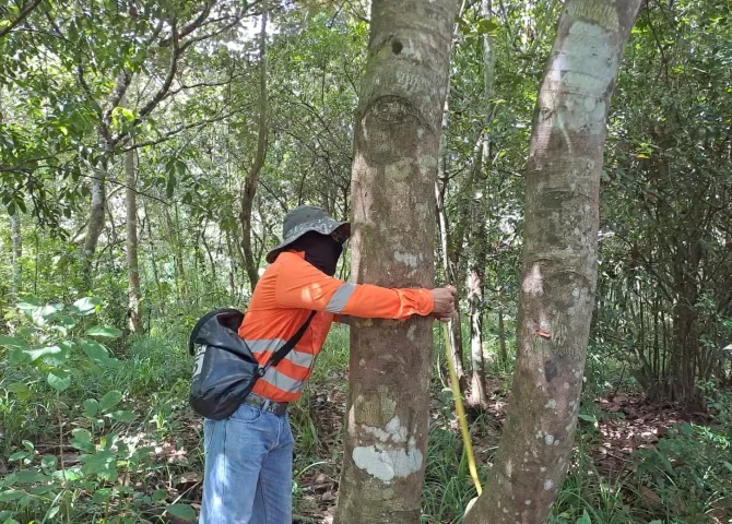  Foto: Presidencia de la República. 