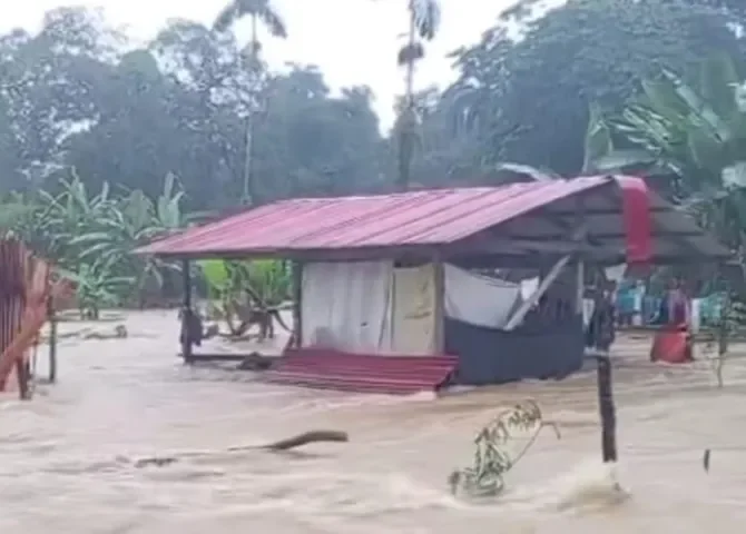  Foto: Diómedes Sánchez.  