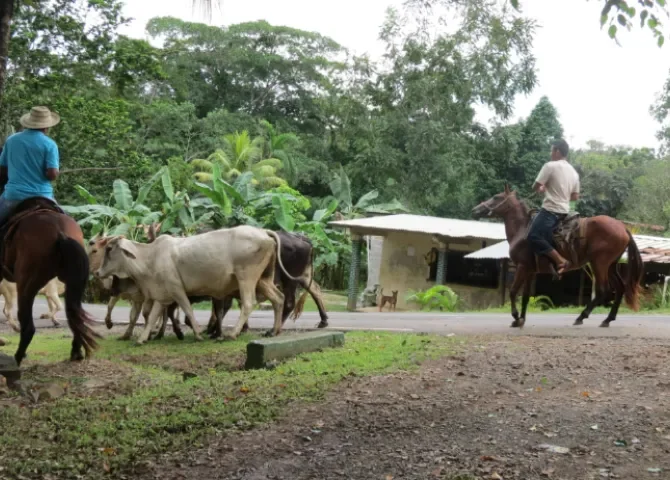  Foto: Eric Montenegro.  