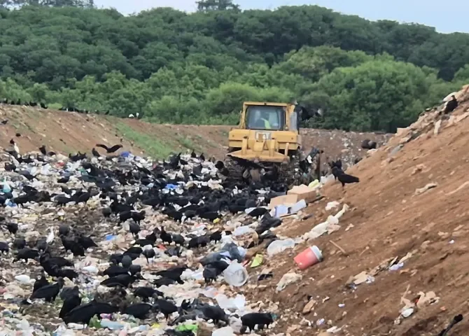  Foto: Thays Domínguez.  