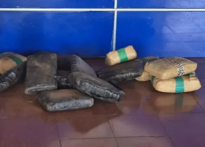  Foto: Thays Domínguez. 