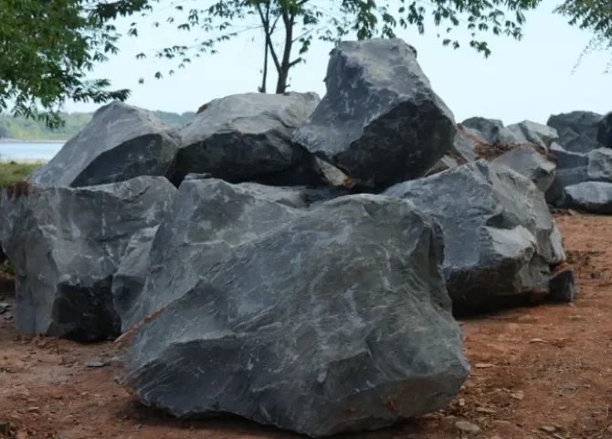  Foto: Eric Montenegro.  