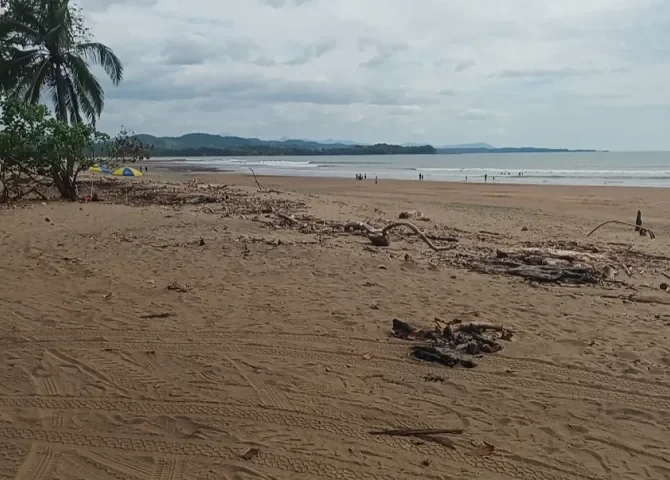   Foto: Melquiades Vásquez.   