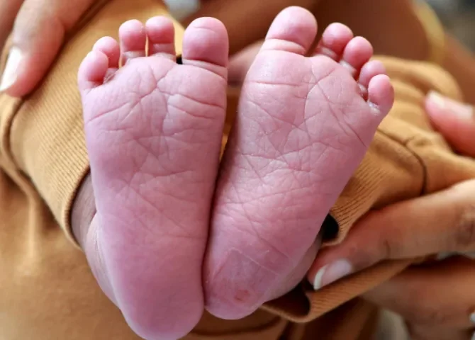  Foto: Pexels/Legacy Shots by Sharan Sathya. 