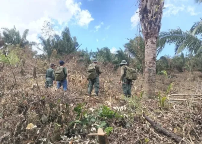  Foto:  Diómedes Sánchez.  