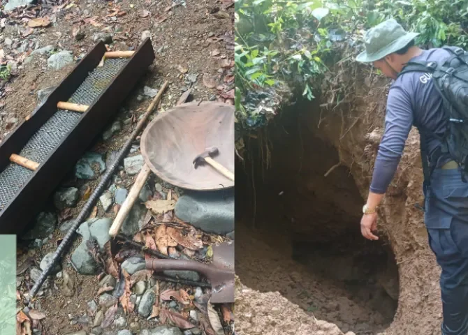  Detectan minería ilegal en el Parque Nacional Chagres 