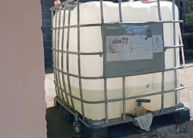  Foto: Eric Montenegro.  