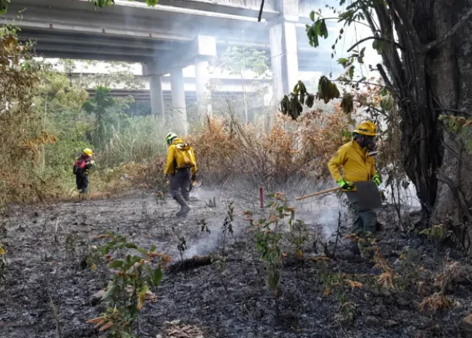  Incendios de masa vegetal se disparan en Panamá 