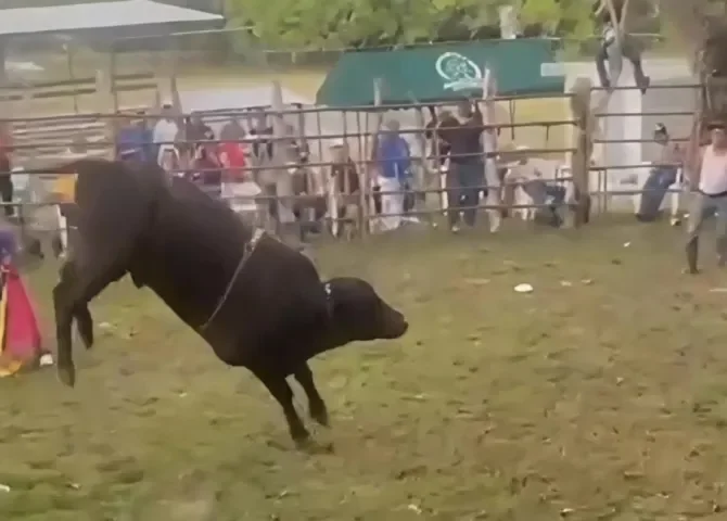  Foto: Thays Domínguez.  