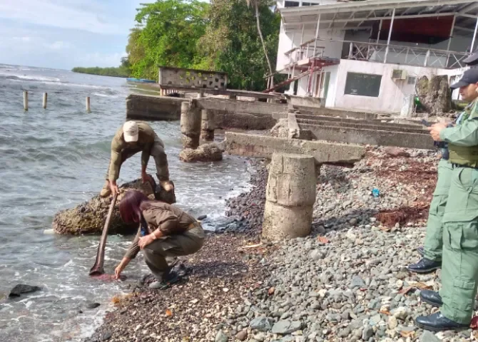  Sorprenden a sujetos comercializando especies marinas en Portobelo 