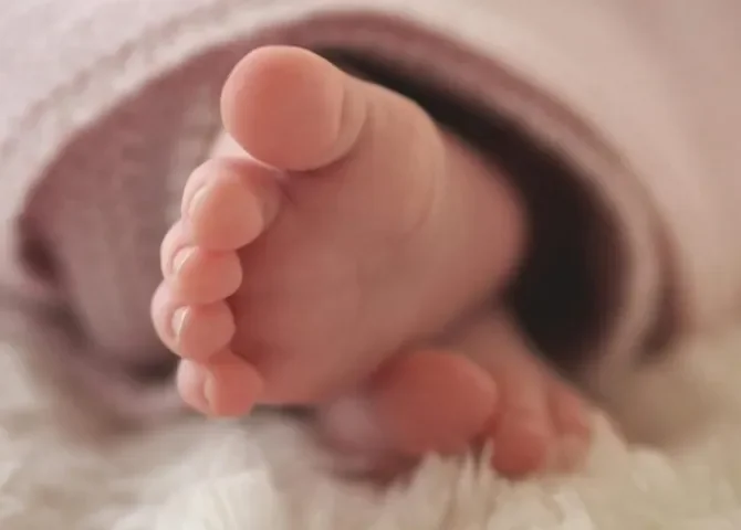  Foto: Pexels / Ilustrativa. 