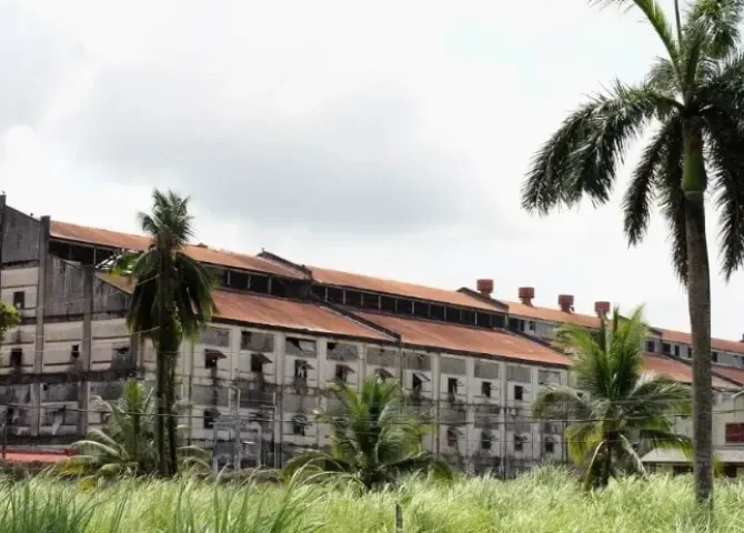  Foto: Diómedes Sánchez.  