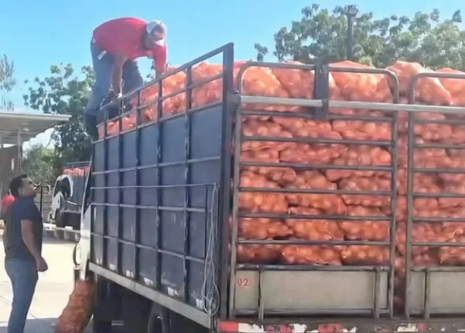  Foto: Thays Domínguez.  