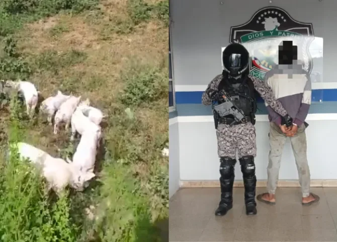  Fotos: Policía Nacional. 